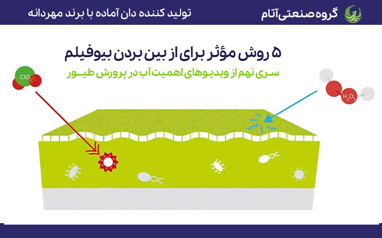 5 روش مؤثر در پاکسازی بیوفیلم
